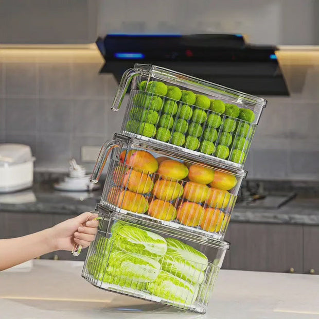 Refrigerator Storage Box